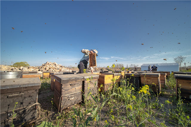 勞務派遣信息管理系統(tǒng)